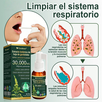 ✅ Tienda oficial insignia en EE. UU.: Spray limpiador pulmonar Curalona® con extracto de hoja de gordolobo (👨‍⚕️ Indicado para EPOC, asma, bronquitis crónica, infecciones respiratorias, cáncer de pulmón, sinusitis y otras afecciones pulmonares)