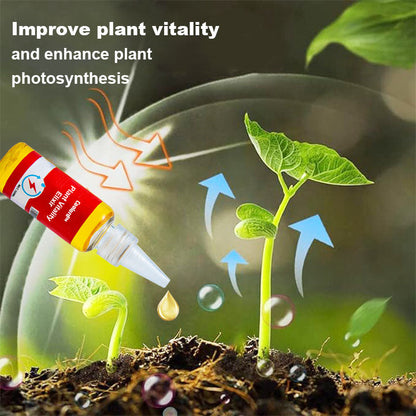 Coolord™ Phytovitamin Solution