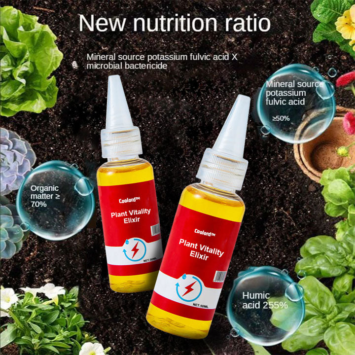 Coolord™ Phytovitamin Solution