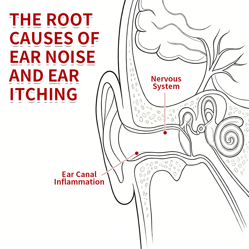 Curalona® Ear Canal Repair Solution to Combat Tinnitus  Helps Relieve Ringing Discomfort by Restoring the Ear Canal Environment  One Bottle · 7 Days · Designed to Deliver Noticeable Results Within 7 Days
