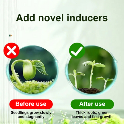 Coolord™ Phytovitamin Solution