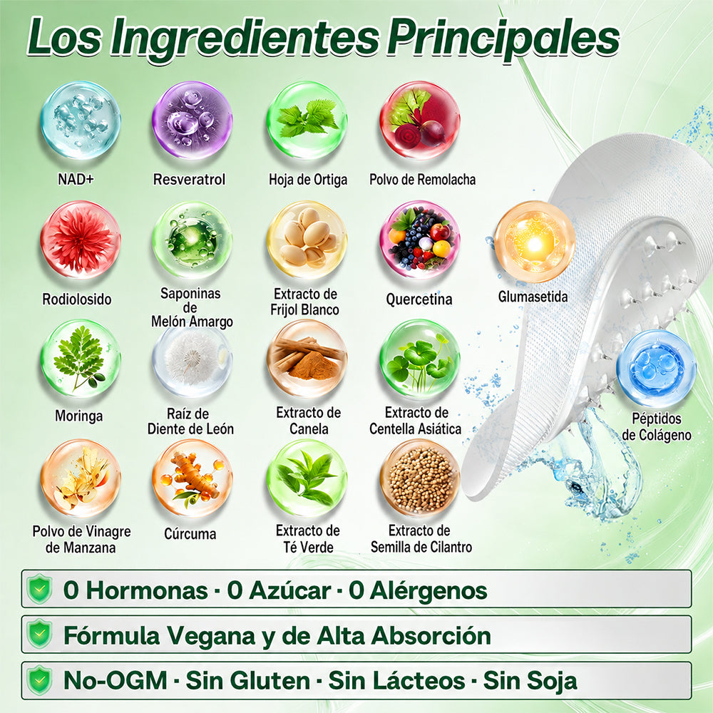 Tienda oficial 🇺🇸 Parche avanzado Purelora® 10 en 1 con nanomicroagujas (Moringa, berberina y NAD+). Solo una aplicación al día; cambios visibles en 7 días.  Para obesidad, flacidez, diabetes, apnea del sueño, problemas articulares y más.