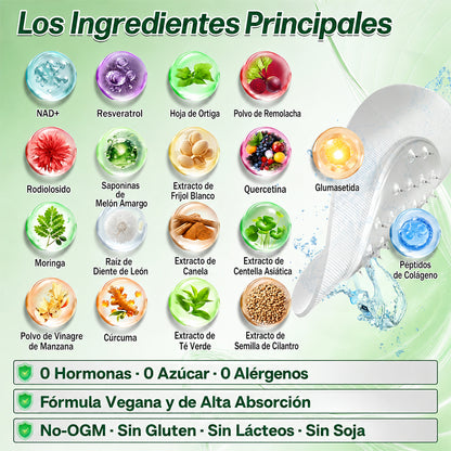 Tienda oficial 🇺🇸 Parche avanzado Purelora® 10 en 1 con nanomicroagujas (Moringa, berberina y NAD+). Solo una aplicación al día; cambios visibles en 7 días.  Para obesidad, flacidez, diabetes, apnea del sueño, problemas articulares y más.