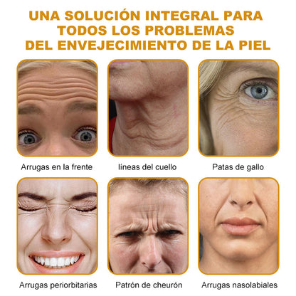 🔥 Último día de la oferta: 70% de descuento – Crema antiarrugas con veneno de abeja y efecto bótox Purelora®
