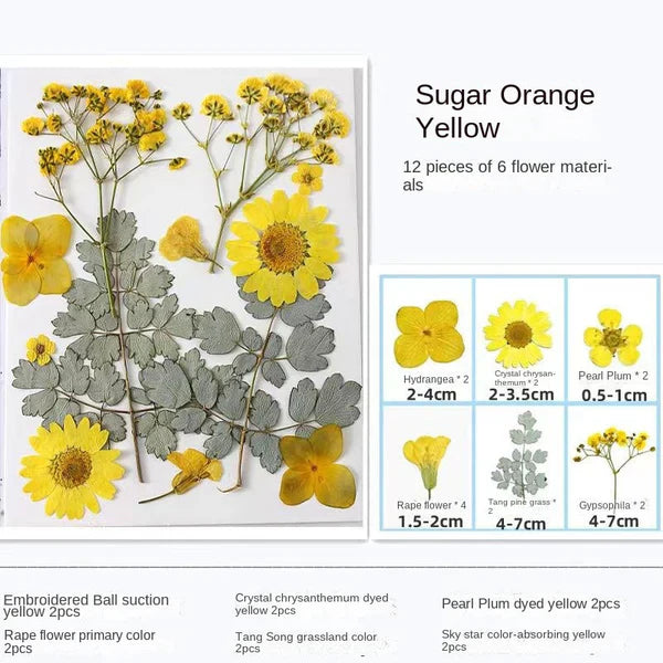 LAST DAY 85% OFF🔥Transparent Dried Flower Bookmarks