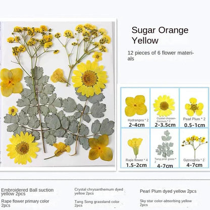 LAST DAY 85% OFF🔥Transparent Dried Flower Bookmarks