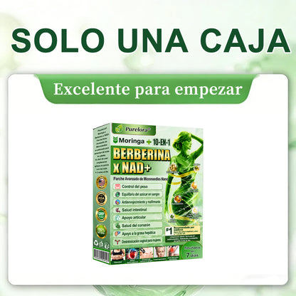 Tienda oficial 🇺🇸 Parche avanzado Purelora® 10 en 1 con nanomicroagujas (Moringa, berberina y NAD+). Solo una aplicación al día; cambios visibles en 7 días.  Para obesidad, flacidez, diabetes, apnea del sueño, problemas articulares y más.