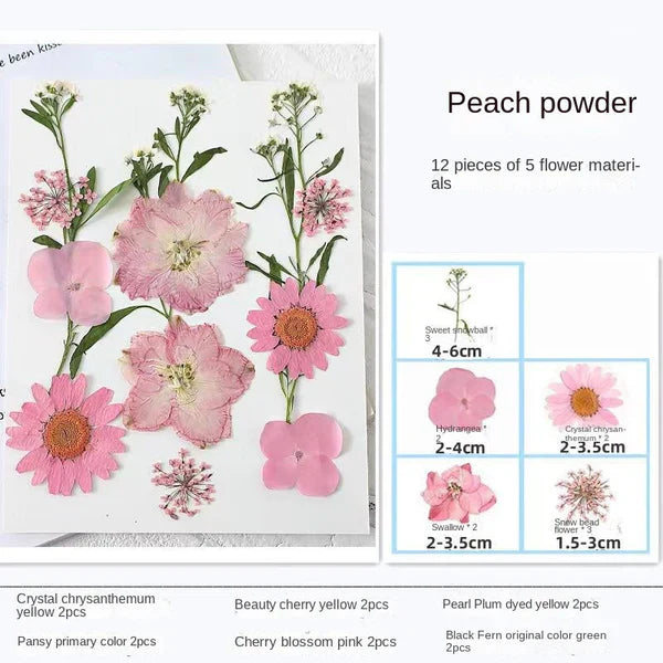 LAST DAY 85% OFF🔥Transparent Dried Flower Bookmarks