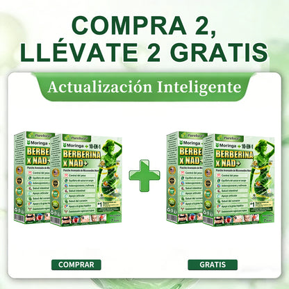 Tienda oficial 🇺🇸 Parche avanzado Purelora® 10 en 1 con nanomicroagujas (Moringa, berberina y NAD+). Solo una aplicación al día; cambios visibles en 7 días.  Para obesidad, flacidez, diabetes, apnea del sueño, problemas articulares y más.
