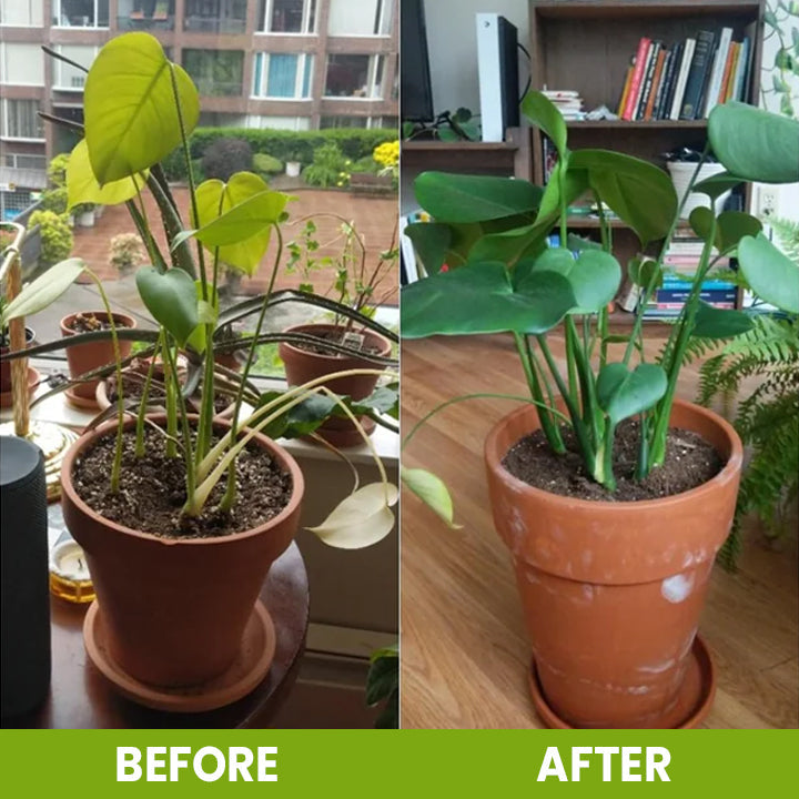 CVREOZ Soil Activator