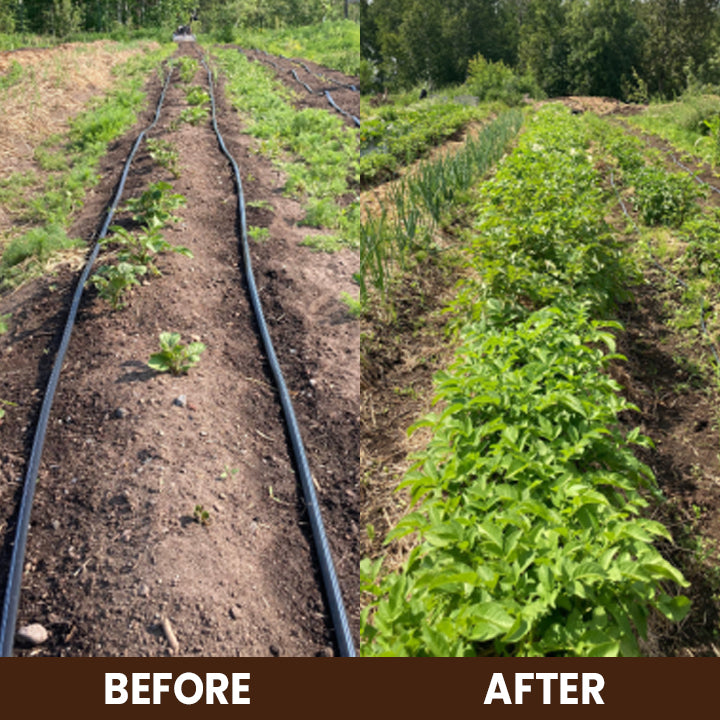 CVREOZ Soil Activator