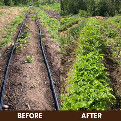 CVREOZ Soil Activator