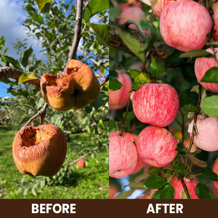 CVREOZ Soil Activator