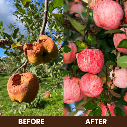 CVREOZ Soil Activator