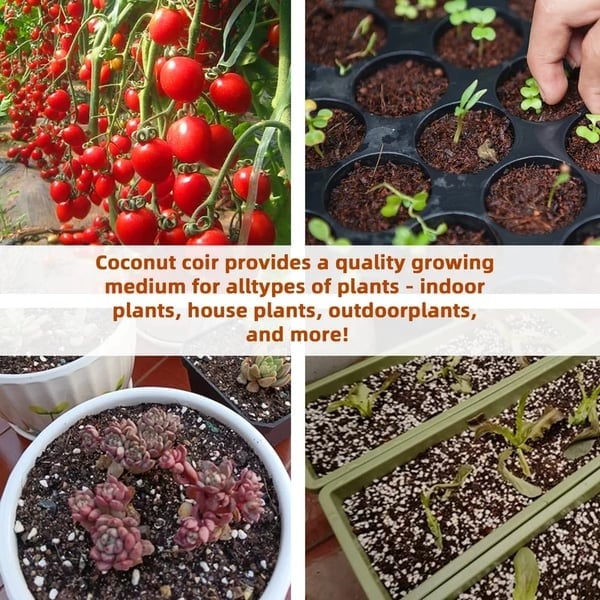 Last Day Sale 49% OFF✨ - Organic Coconut Coir for Plants(Collected from Pacific island countries)