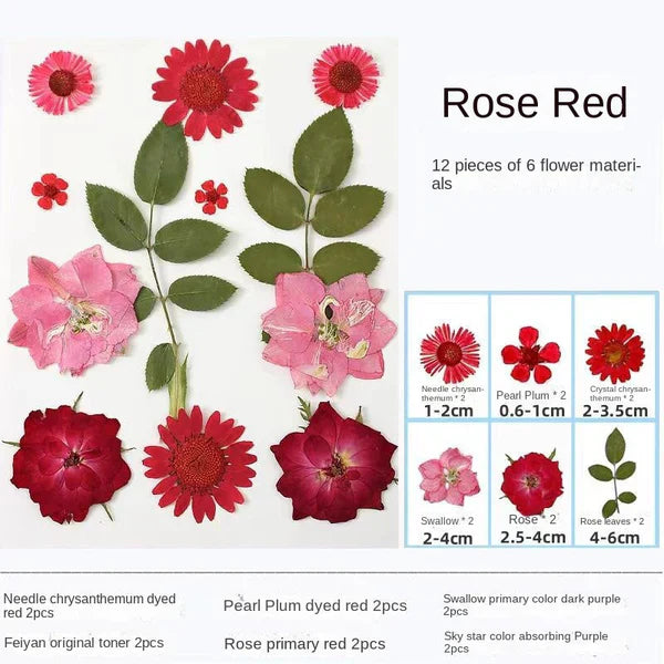 LAST DAY 85% OFF🔥Transparent Dried Flower Bookmarks